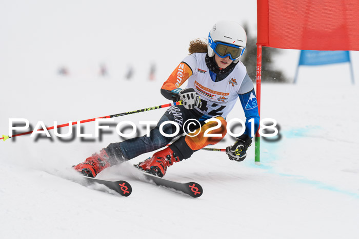 Dt. Schülercup U14 Finale, Riesenslalom, 03.03.2018