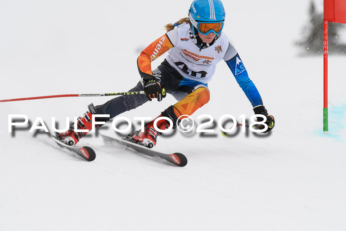 Dt. Schülercup U14 Finale, Riesenslalom, 03.03.2018