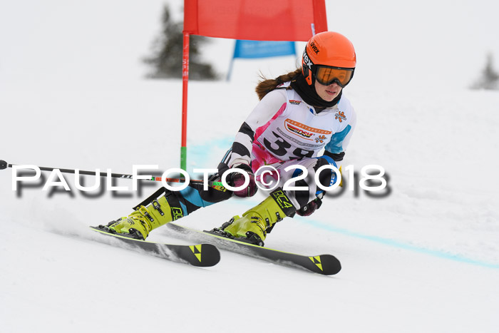 Dt. Schülercup U14 Finale, Riesenslalom, 03.03.2018