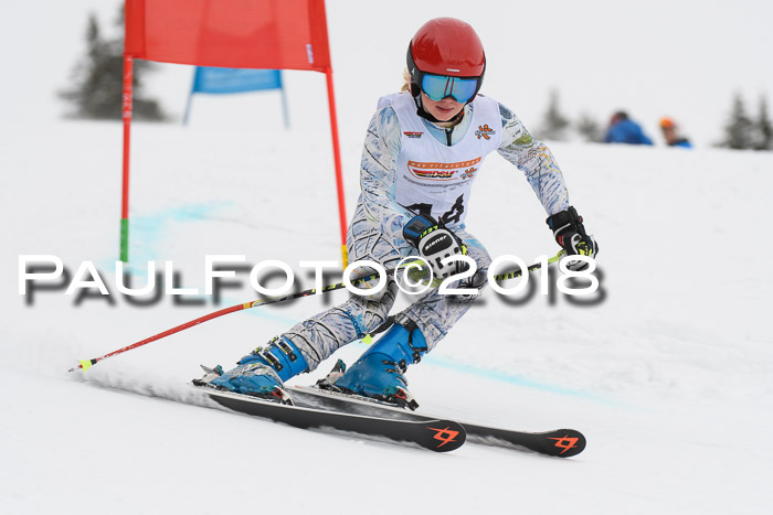 Dt. Schülercup U14 Finale, Riesenslalom, 03.03.2018