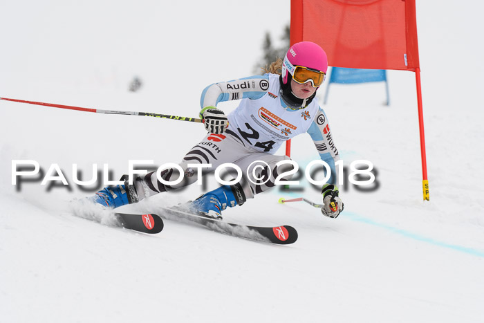Dt. Schülercup U14 Finale, Riesenslalom, 03.03.2018