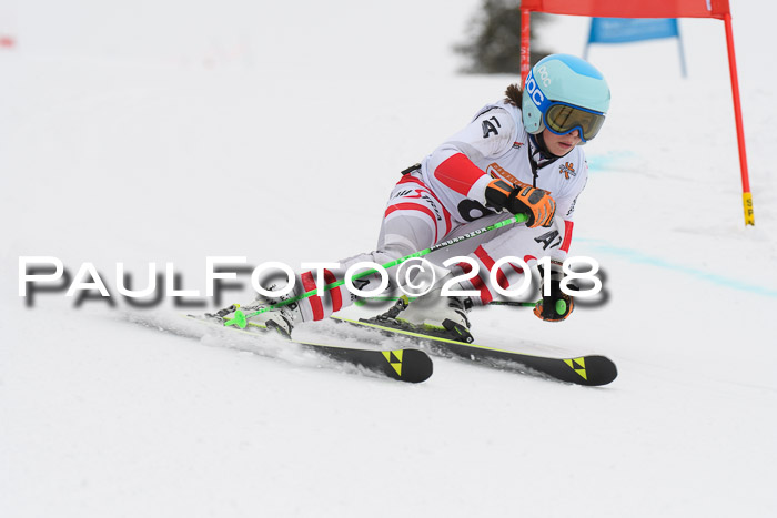 Dt. Schülercup U14 Finale, Riesenslalom, 03.03.2018