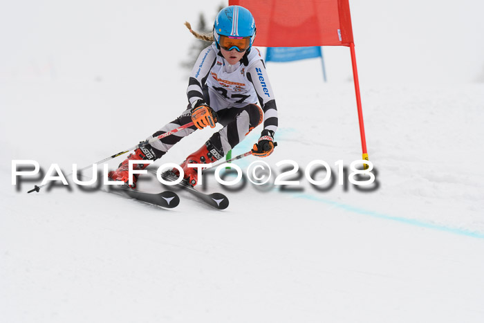 Dt. Schülercup U14 Finale, Riesenslalom, 03.03.2018