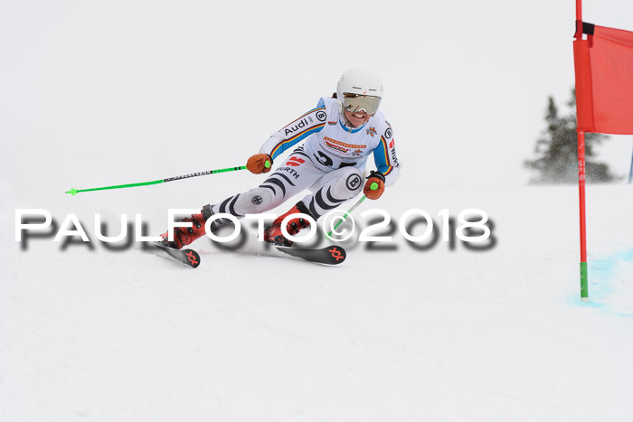 Dt. Schülercup U14 Finale, Riesenslalom, 03.03.2018