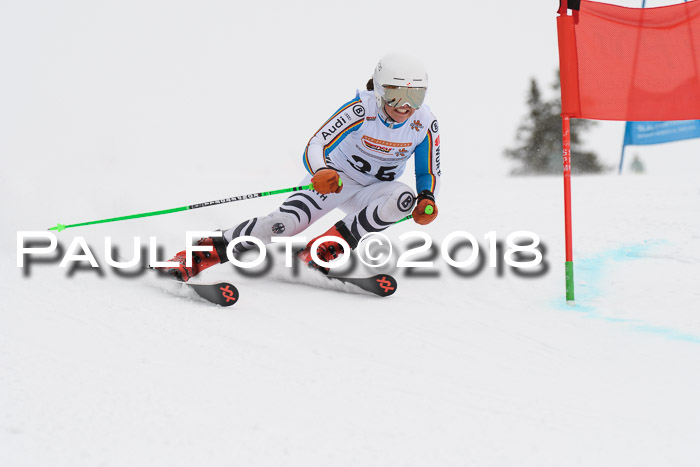 Dt. Schülercup U14 Finale, Riesenslalom, 03.03.2018