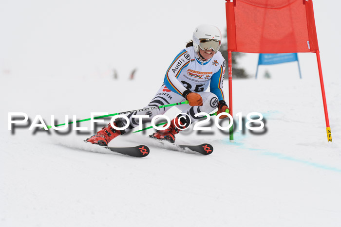 Dt. Schülercup U14 Finale, Riesenslalom, 03.03.2018