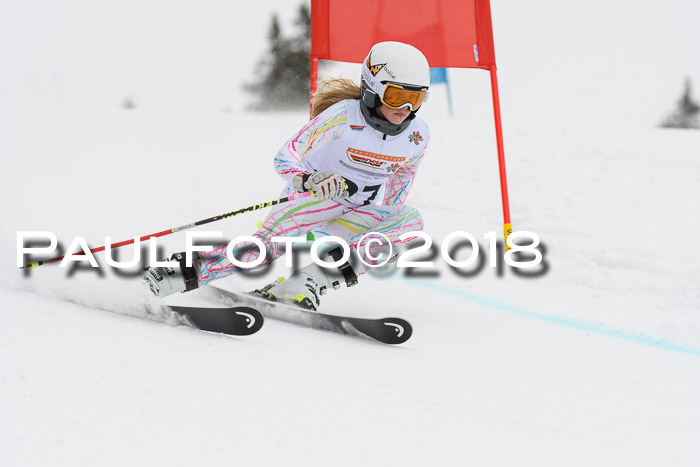 Dt. Schülercup U14 Finale, Riesenslalom, 03.03.2018