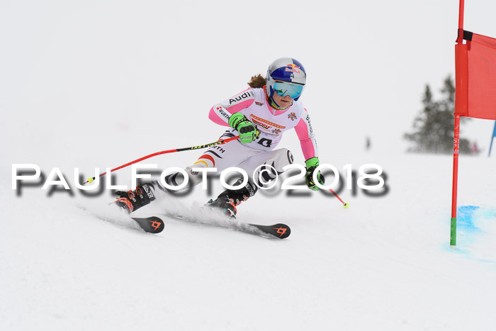 Dt. Schülercup U14 Finale, Riesenslalom, 03.03.2018