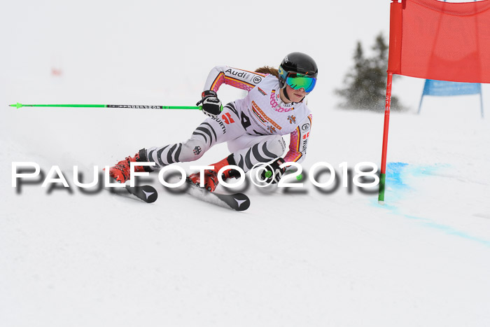Dt. Schülercup U14 Finale, Riesenslalom, 03.03.2018