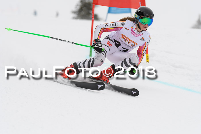 Dt. Schülercup U14 Finale, Riesenslalom, 03.03.2018