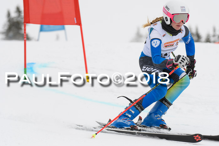 Dt. Schülercup U14 Finale, Riesenslalom, 03.03.2018