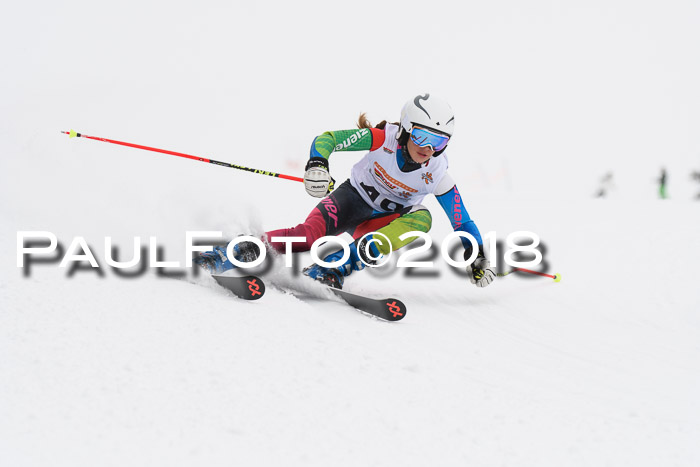 Dt. Schülercup U14 Finale, Riesenslalom, 03.03.2018