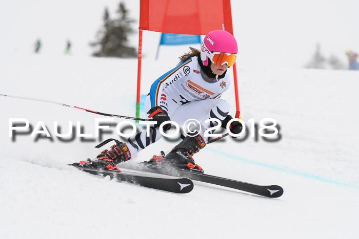 Dt. Schülercup U14 Finale, Riesenslalom, 03.03.2018
