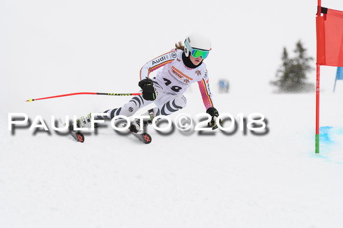 Dt. Schülercup U14 Finale, Riesenslalom, 03.03.2018