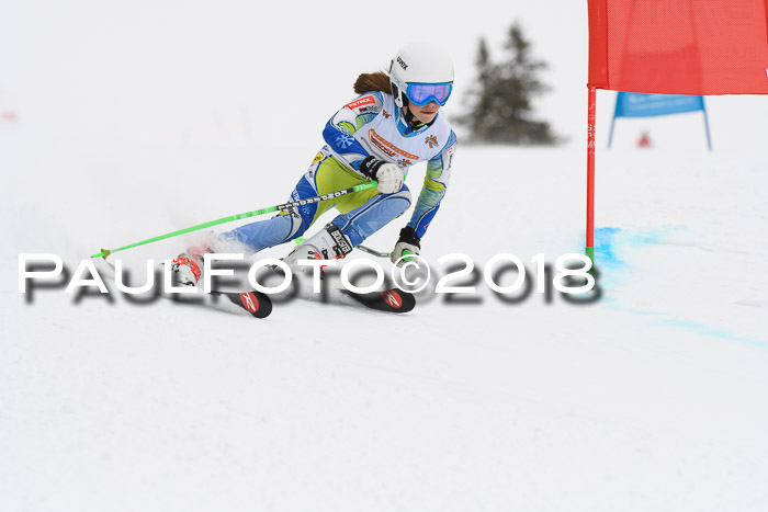 Dt. Schülercup U14 Finale, Riesenslalom, 03.03.2018