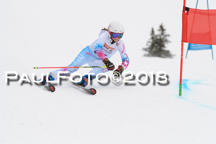 Dt. Schülercup U14 Finale, Riesenslalom, 03.03.2018