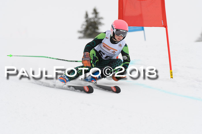 Dt. Schülercup U14 Finale, Riesenslalom, 03.03.2018