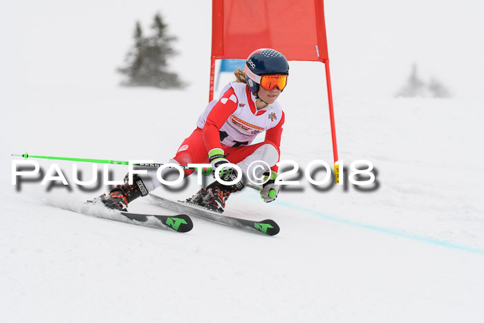 Dt. Schülercup U14 Finale, Riesenslalom, 03.03.2018