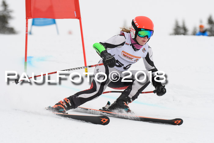 Dt. Schülercup U14 Finale, Riesenslalom, 03.03.2018