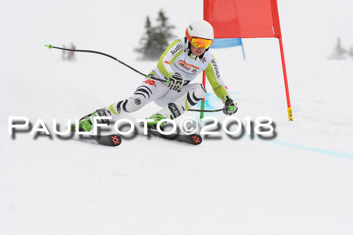 Dt. Schülercup U14 Finale, Riesenslalom, 03.03.2018