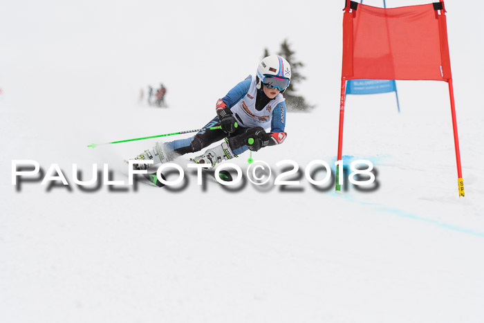 Dt. Schülercup U14 Finale, Riesenslalom, 03.03.2018