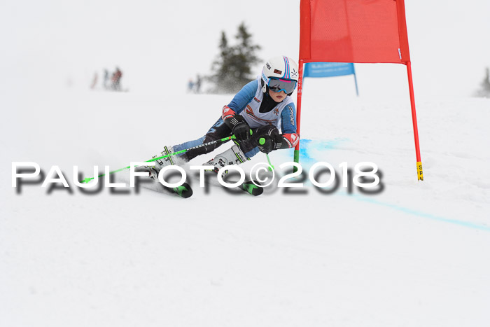 Dt. Schülercup U14 Finale, Riesenslalom, 03.03.2018