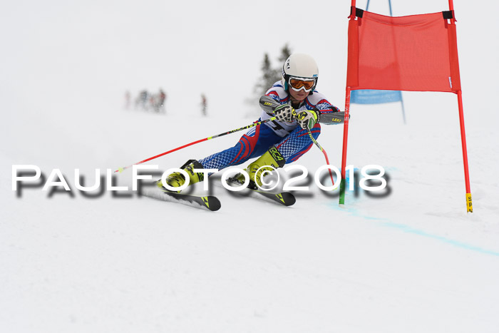 Dt. Schülercup U14 Finale, Riesenslalom, 03.03.2018