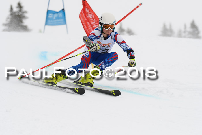 Dt. Schülercup U14 Finale, Riesenslalom, 03.03.2018