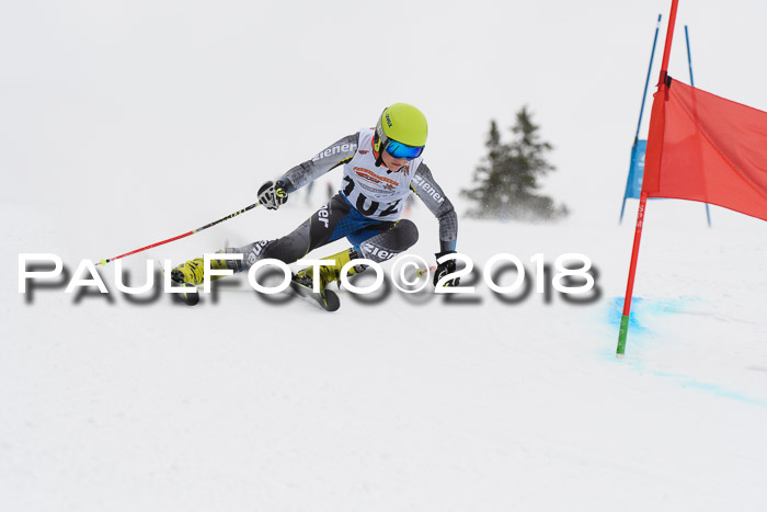 Dt. Schülercup U14 Finale, Riesenslalom, 03.03.2018