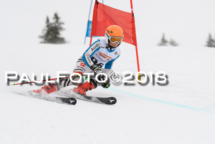 Dt. Schülercup U14 Finale, Riesenslalom, 03.03.2018