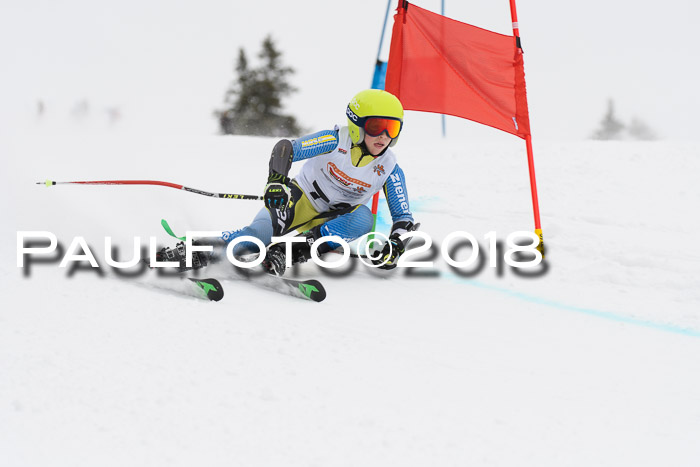 Dt. Schülercup U14 Finale, Riesenslalom, 03.03.2018