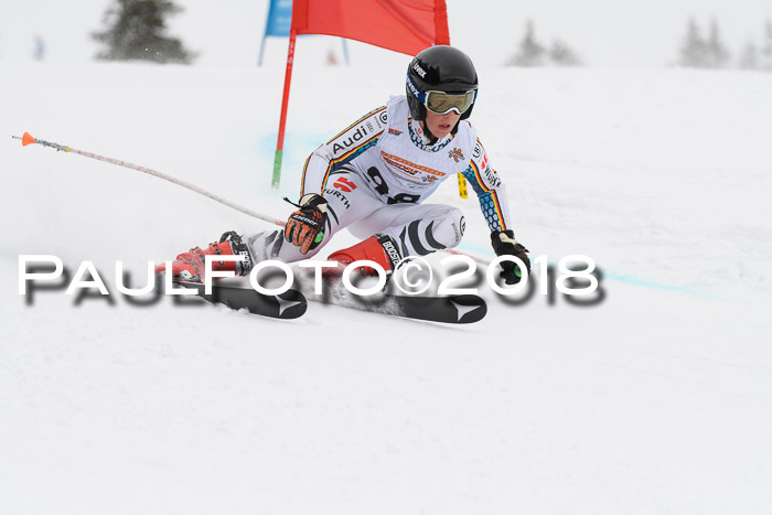 Dt. Schülercup U14 Finale, Riesenslalom, 03.03.2018