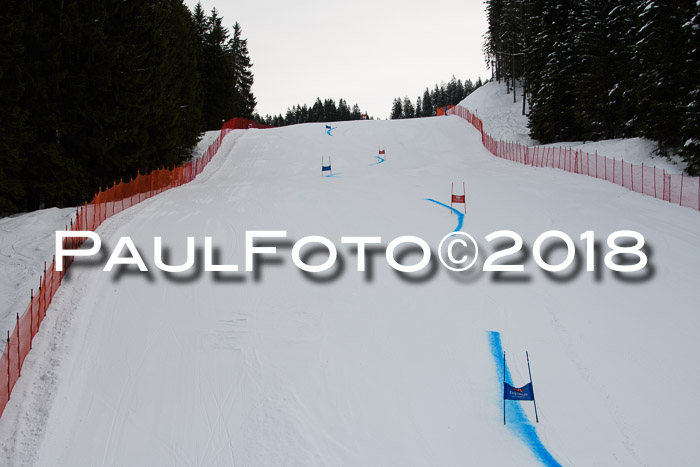 Dt. Schülercup U16 Finale, Riesenslalom, 03.03.2018