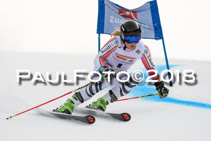 Dt. Schülercup U16 Finale, Riesenslalom, 03.03.2018
