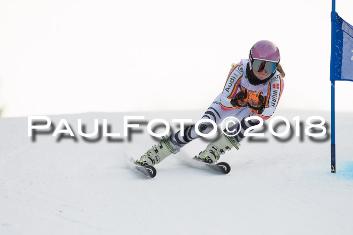 Dt. Schülercup U16 Finale, Riesenslalom, 03.03.2018