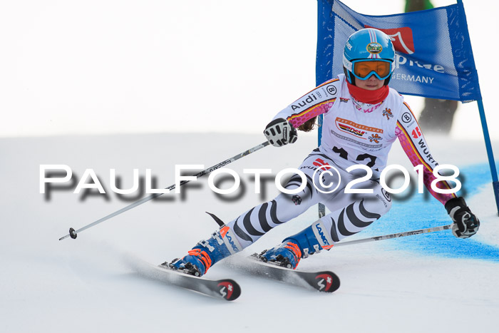 Dt. Schülercup U16 Finale, Riesenslalom, 03.03.2018