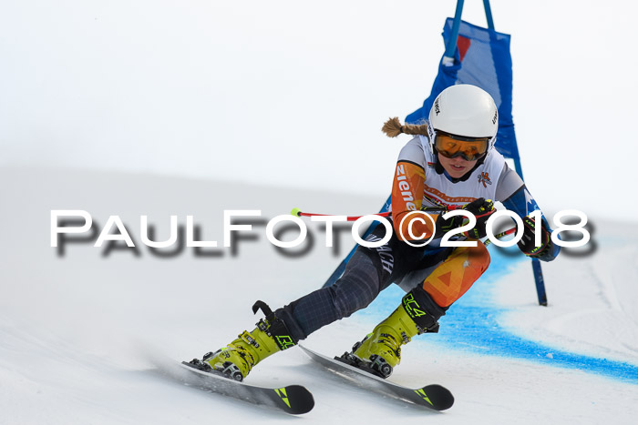 Dt. Schülercup U16 Finale, Riesenslalom, 03.03.2018