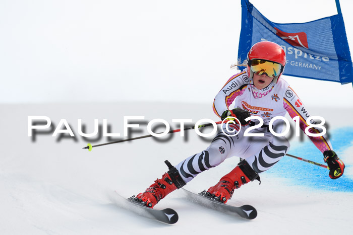 Dt. Schülercup U16 Finale, Riesenslalom, 03.03.2018