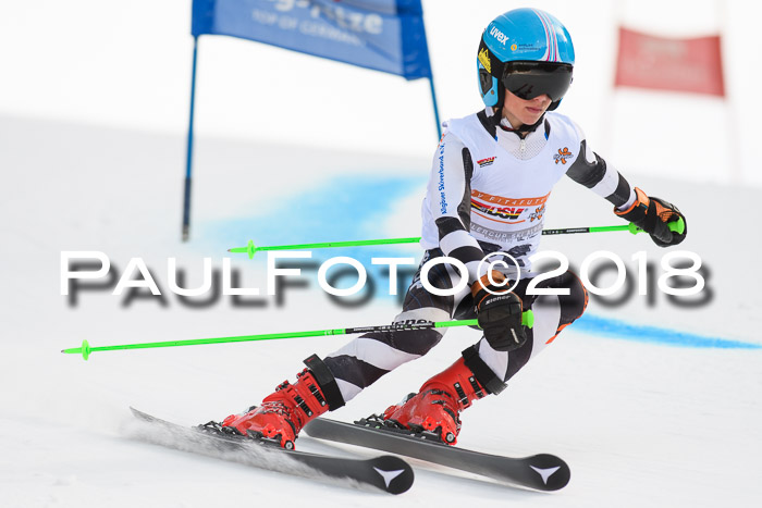 Dt. Schülercup U16 Finale, Riesenslalom, 03.03.2018