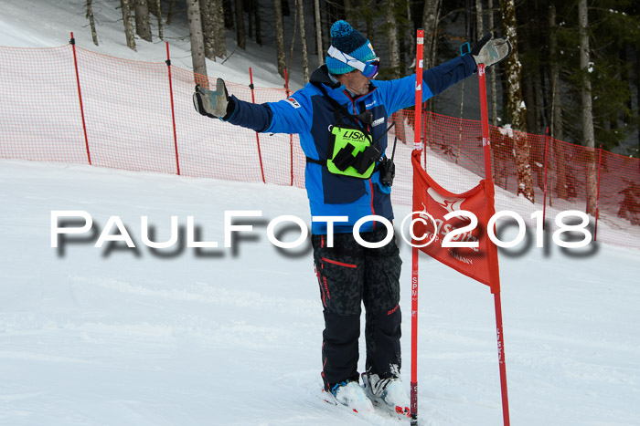 Dt. Schülercup U16 Finale, Riesenslalom, 03.03.2018
