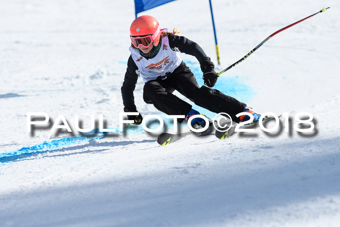 Dt. Schülercup U16 Finale, Riesenslalom, 03.03.2018