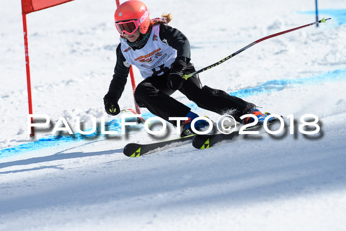 Dt. Schülercup U16 Finale, Riesenslalom, 03.03.2018