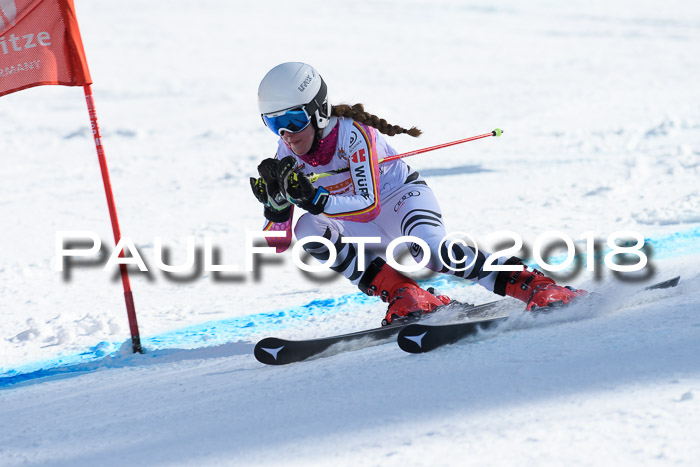 Dt. Schülercup U16 Finale, Riesenslalom, 03.03.2018