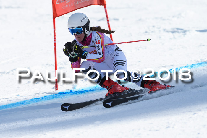 Dt. Schülercup U16 Finale, Riesenslalom, 03.03.2018