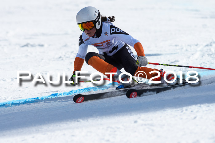 Dt. Schülercup U16 Finale, Riesenslalom, 03.03.2018