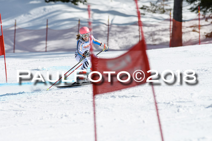 Dt. Schülercup U16 Finale, Riesenslalom, 03.03.2018