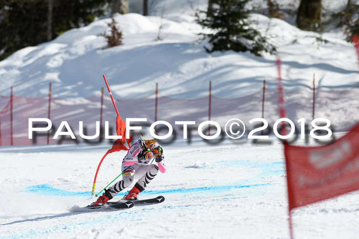 Dt. Schülercup U16 Finale, Riesenslalom, 03.03.2018