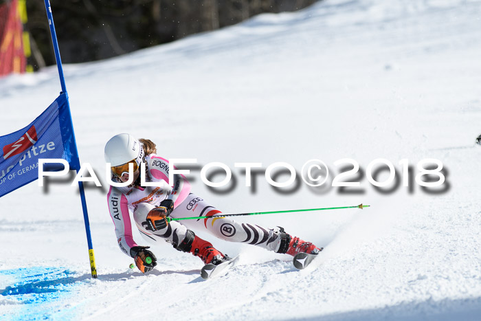 Dt. Schülercup U16 Finale, Riesenslalom, 03.03.2018