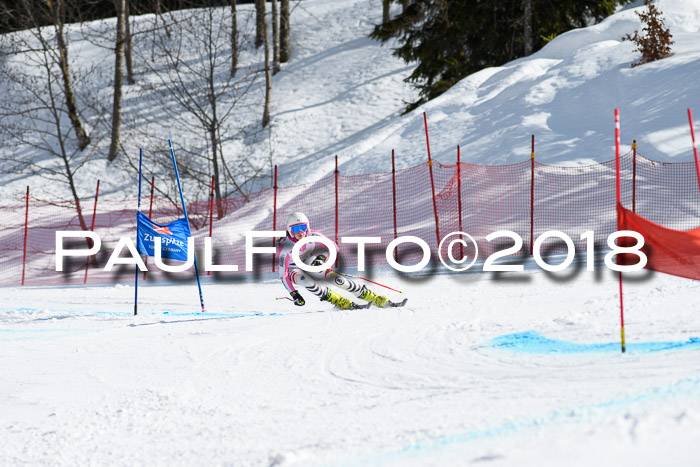 Dt. Schülercup U16 Finale, Riesenslalom, 03.03.2018