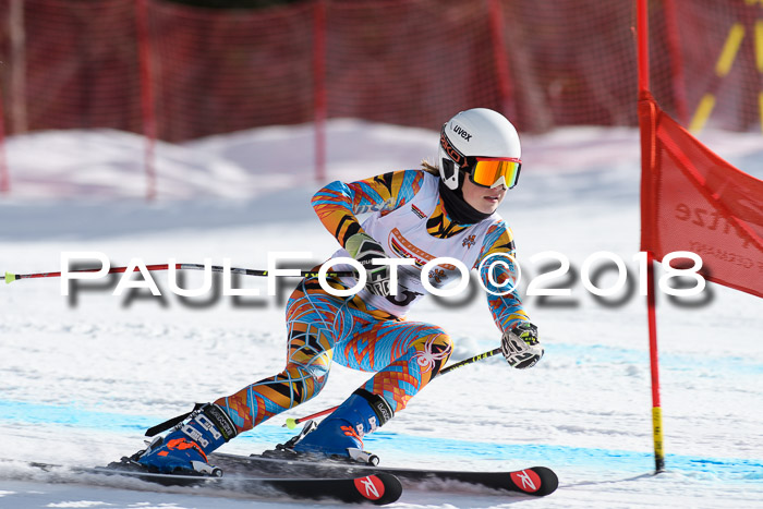 Dt. Schülercup U16 Finale, Riesenslalom, 03.03.2018